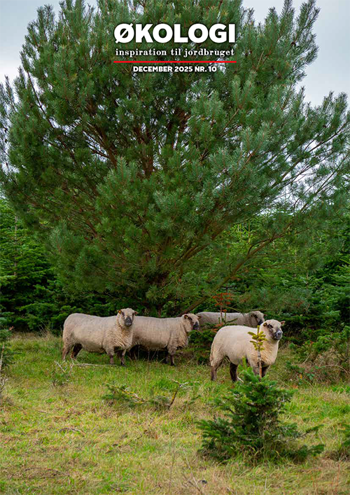 Økologi - inspiration til jordbruget  